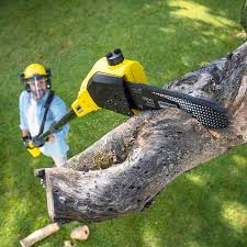 Best Pest Control for Lawns  in Cornish, ME