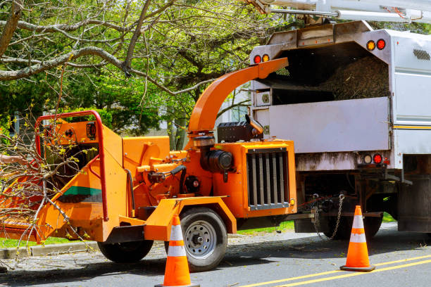 Leaf Removal in Cornish, ME