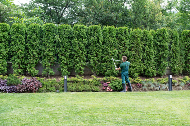 Best Lawn Maintenance Plans  in Cornish, ME